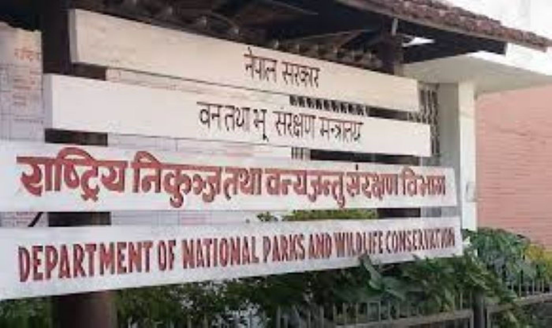 एक वर्षमा के–के काम भए, राष्ट्रिय निकुञ्ज विभागमा